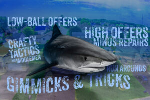 Read more about the article How to avoid sharks when you sell your rental house